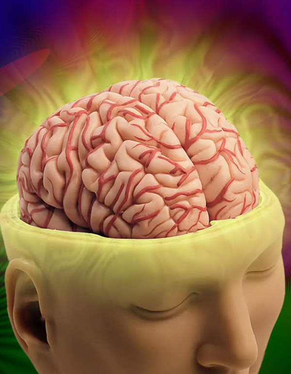 مهام الجزء الأيمن من الدماغ تعمل بشكل أكبر عند إجراء اختبارات الذكاء.